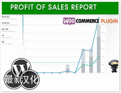 WP插件-销售报表-Woo Profit of Sales Report汉化版【v1.3.0】