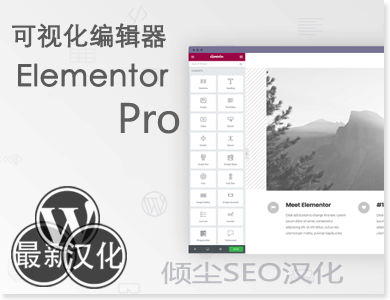 元素编辑器 Elementor Pro可视化编辑器 WordPress插件汉化版【v3.17.1】