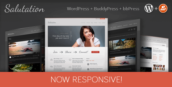 Salutation英文版 WordPress+BuddyPress CMS 响应式主题【V3.0.13】