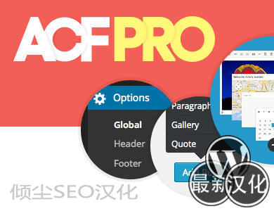 WordPress插件-自定义字段-Advanced Custom Fields PRO汉化版【v6.2.6.1】