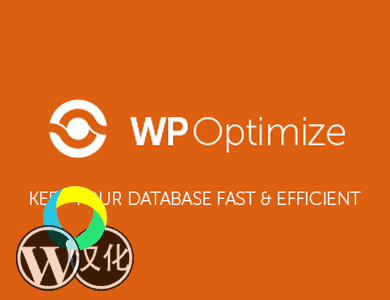 WordPress插件-数据库表优化-WP Optimize汉化版【v3.1.2】