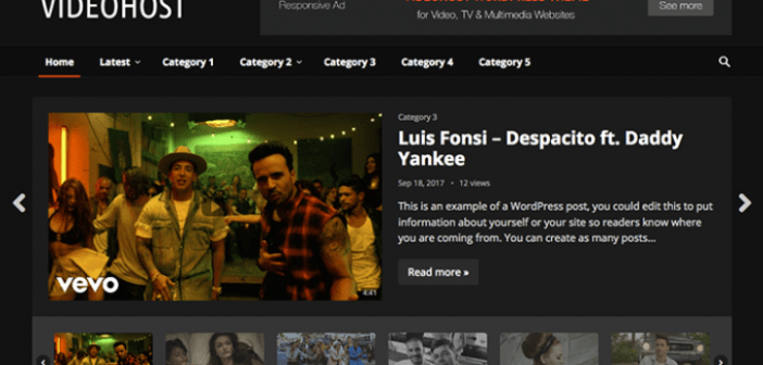 VideoHost主题英文版 WordPress响应式 视频主题【v1.2】