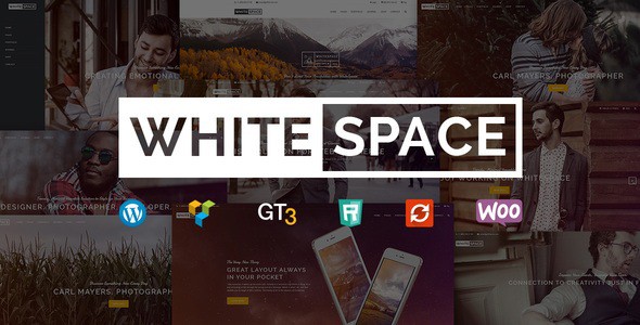 WhiteSpace主题英文版 WordPress响应式 多用途主题【v1.5.2】