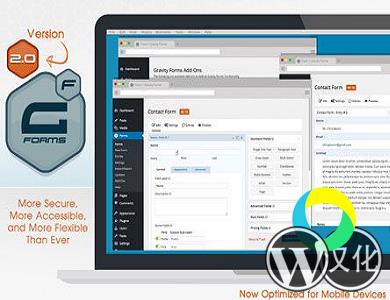 WordPress插件-重力表单-Gravity Forms汉化版【v2.8.5.1】