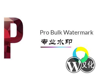 WordPress插件-专业图片水印-Pro Bulk Watermark汉化版【v2.0】