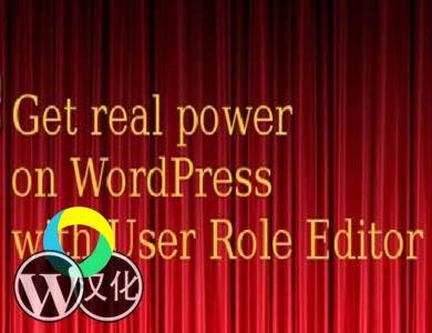 WordPress插件-用户角色管理器-User Role Editor Pro汉化版【v4.63.4】