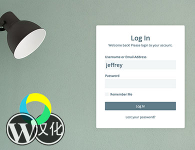 WordPress插件-前端登陆样式-Easy Login Styler Pro汉化版【v1.0】