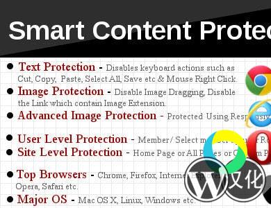 WordPress插件-智能内容保护-Smart Content Protector汉化版【V7.9】