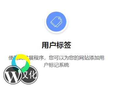 WordPress插件-用户标签-Ultimate Member - User Tags汉化版【V2.1.7】