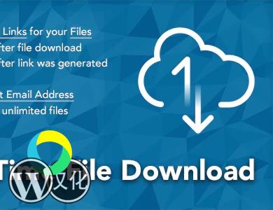 WordPress插件-唯一下载链接生成-WP One Time File Download汉化版【V2.5】