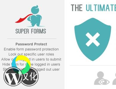 WordPress插件-表单密码保护-Super Forms - Password Protect汉化版【V1.2.1】