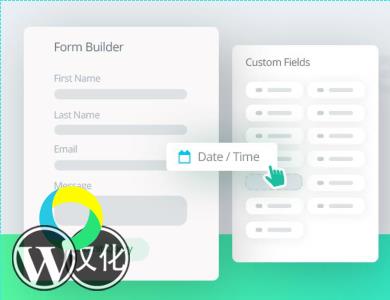 WordPress插件-响应式表单-自定义表单-weForms汉化版【V1.6.12】