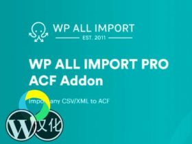 WordPress插件-自定义字段ACF导入-WP All Import - ACF Add-On汉化版【V3.3.8-beta-1.4】