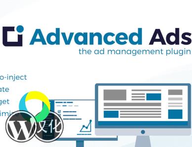 WordPress插件-广告管理-Advanced Ads汉化版【V1.42.1】