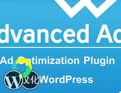 WordPress插件-高级广告扩展-Advanced Ads Pro汉化版【V2.21.2】