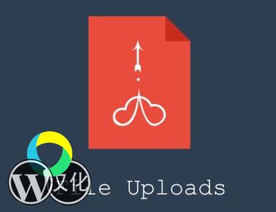 WordPress插件-附件上传-User Registration File Upload汉化版【V1.2.2】