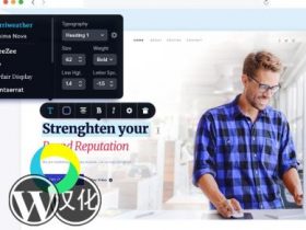 WordPress插件-可视化编辑器-Brizy汉化版【V2.4.14】