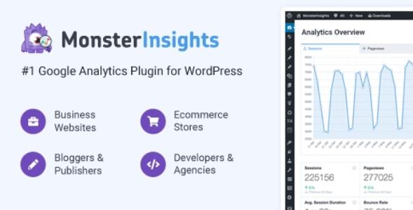 MonsterInsights Pro Google Analytics插件 WordPress响应式【V8.5.1】