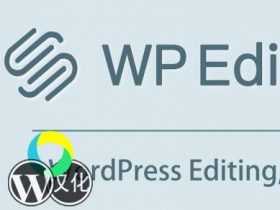 WP Editor.md编辑器 汉化版插件 WordPress md编辑器【V10.2.1】