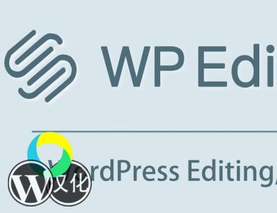 WP Editor.md编辑器 汉化版插件 WordPress md编辑器【V10.2.1】