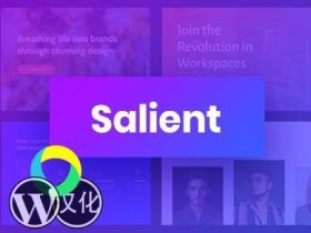 Salient主题 WordPress主题-响应式主题 汉化版【V14.0.5】