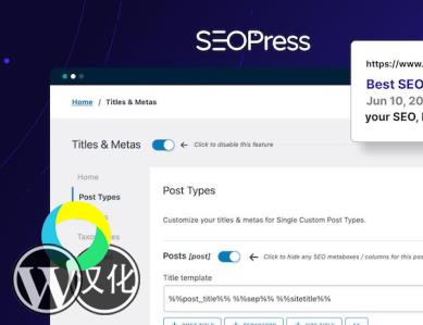 WordPress插件-搜索引擎优化-SEOPress汉化版【V6.7.2】