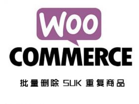 在Woocommerce中删除具有相同 SKU 的产品