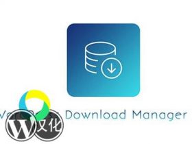 WordPress插件-文件下载管理-Download Manager汉化版【V6.1.5】