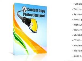 WordPress插件-内容复制保护-无右键单击-WP Content Copy Protection & No Right Click汉化版【V12.6】