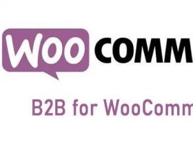 WordPress插件-B2B批发生成-B2B for WooCommerce汉化版【V2.0.2】