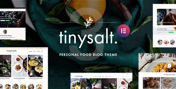 TinySalt英文版主题 WordPress响应式食谱主题【V3.2.0】