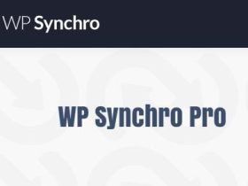WordPress插件-站点迁移-WP Synchro Pro汉化版【V1.9.0】