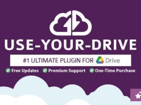 Use-your-Drive插件-Google Drive-WordPress插件【V2.7.2】