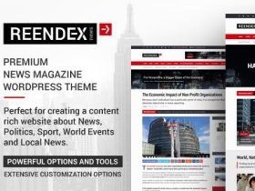Reendex主题英文版-新闻主题-WordPress主题【V1.0.5】