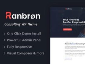 Ranbron主题英文版-业务咨询-WordPress主题【V3.0】