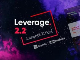 Leverage主题英文版-网页设计-WordPress主题【V2.2.2】