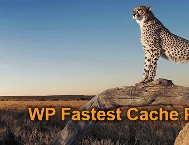 WP Fastest Cache Premium 快速缓存插件-WordPress插件汉化版【V1.6.9】