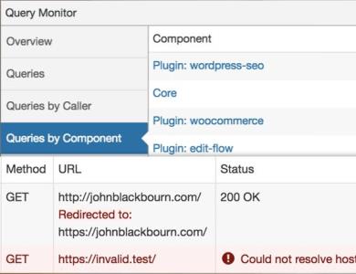 WordPress开发者工具-Query Monitor汉化版插件【V3.15.0】